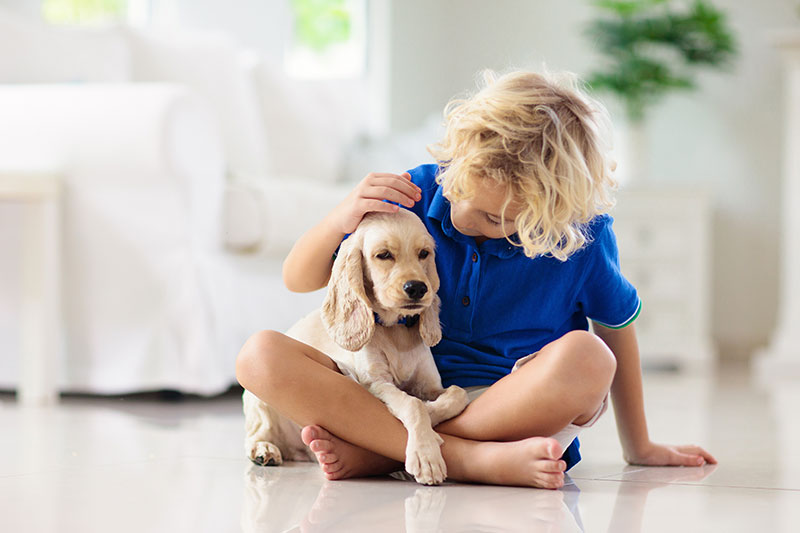 Puppy Training & Obedience